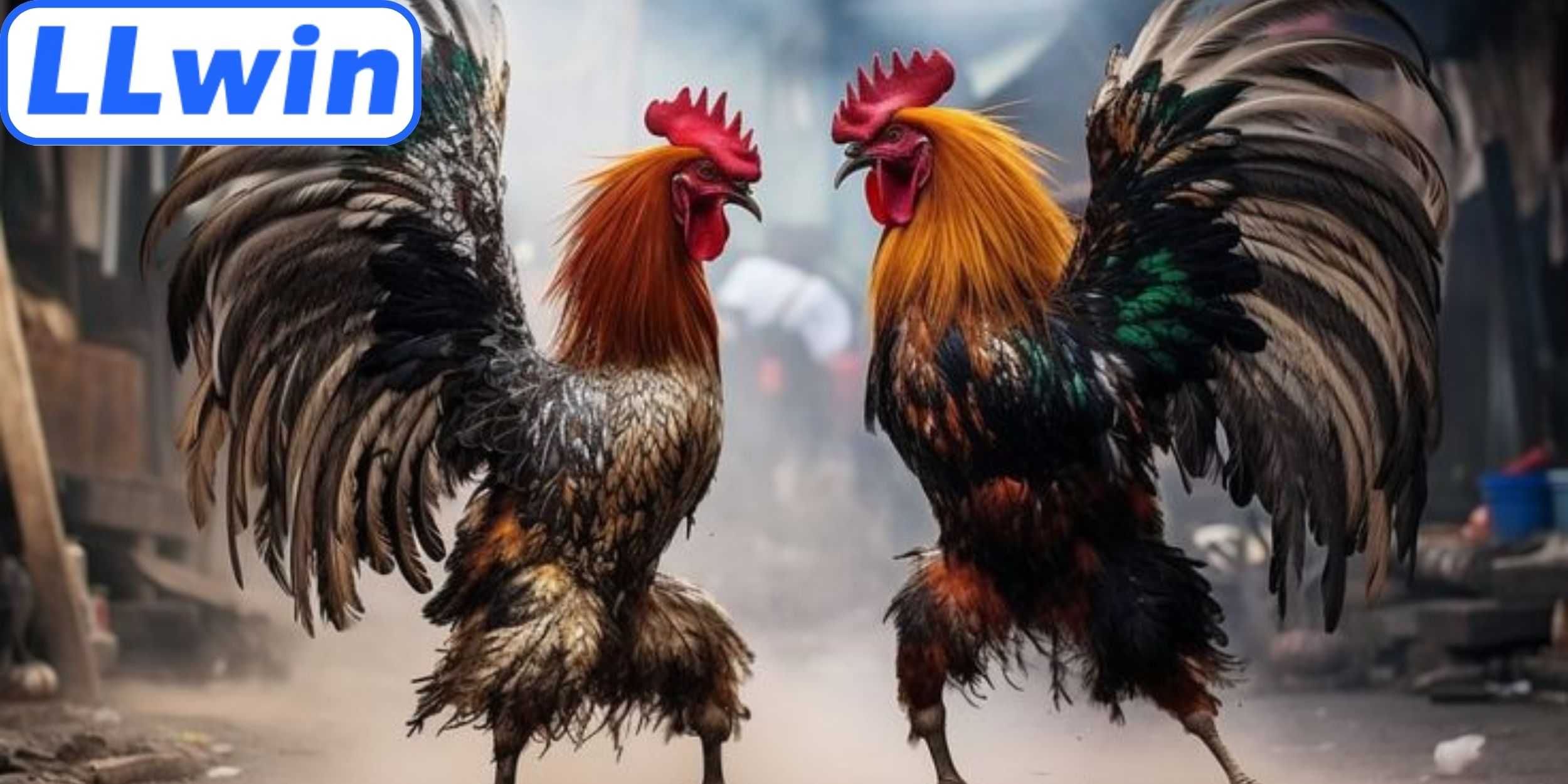 Cách đánh giá diễn biến trận đấu nhanh chóng 