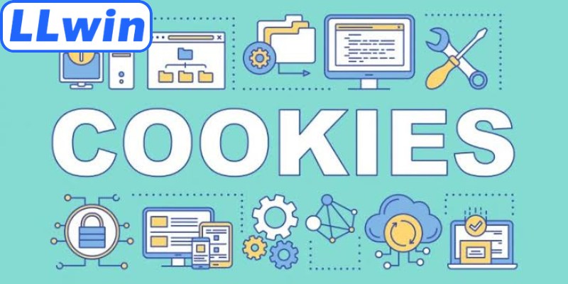 Nhà cái sử dụng công nghệ cookie giúp tối ưu trải nghiệm
